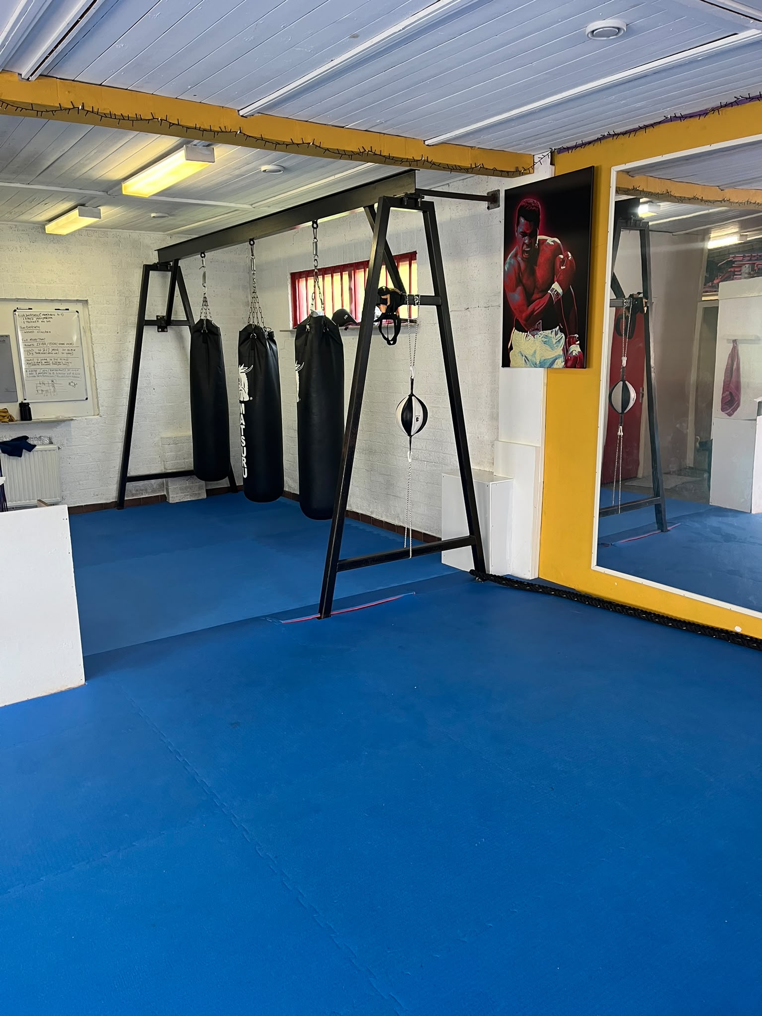 Lion Gym - vechtsportschoo