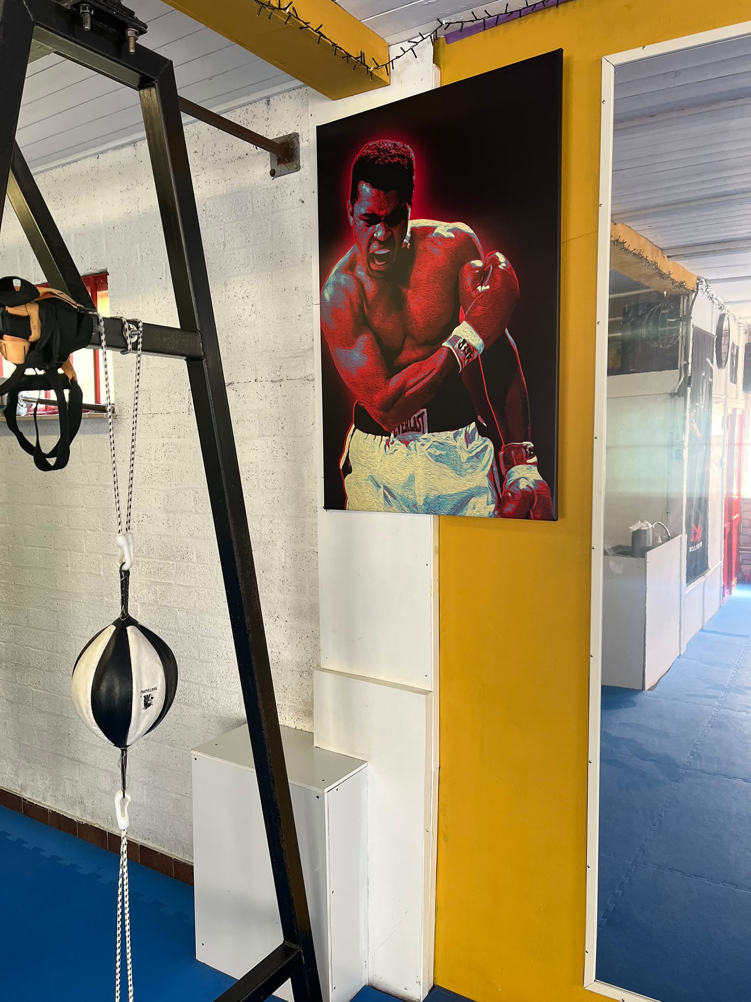 Lion Gym - vechtsportschool 3